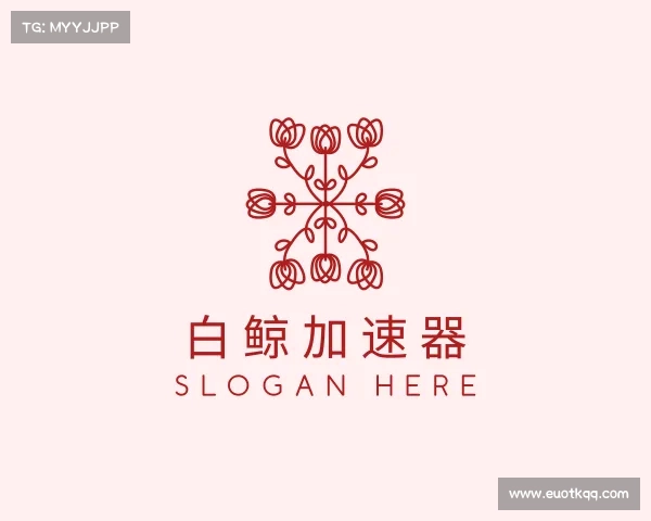 了解白鲸加速器